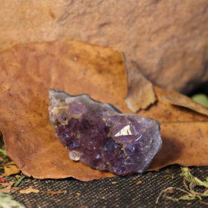 Amethyst Druse Drusenstück XS/S